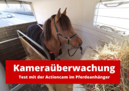 Kameraüberwachung mit Handy: Test mit der Actioncam im Pferdeanhänger
