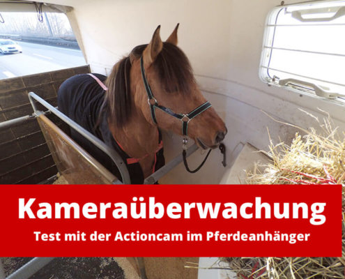 Kameraüberwachung mit Handy: Test mit der Actioncam im Pferdeanhänger