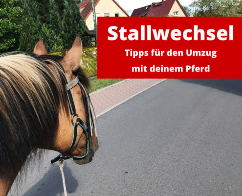 Umzug / Stallwechsel mit Pferd: Tipps für den Umzug mit deinem Pferd